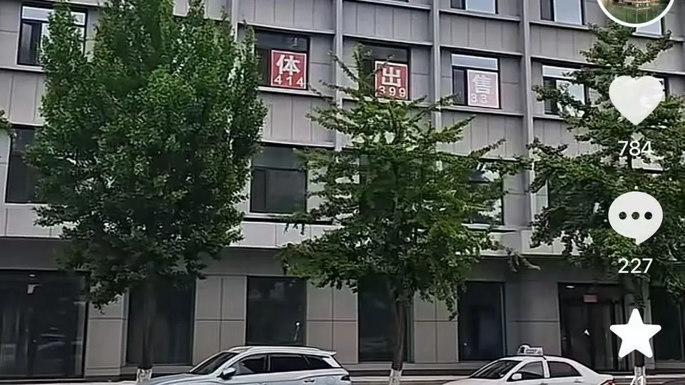 塌房两年后，“东北雨姐”拟3500万出售电商孵化基地