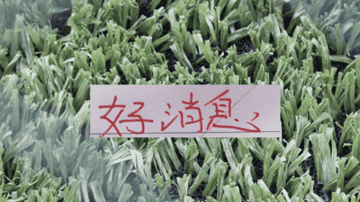 好消息！北京国安10号发文报平安 之前入选5月官方最佳候选人