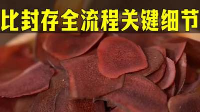 来参与解锁鹿茸泡酒的趣味做法 新手也能轻松跟上配比与封存的每一步