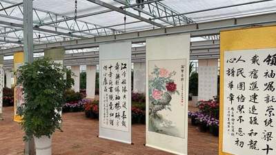 聚焦主题创作，文艺赋能乡村振兴