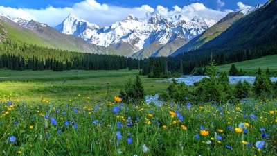伊犁河谷全域旅行实用攻略从赛里木湖到喀拉峻草原的四季风景人文与游牧生活深度体验手记