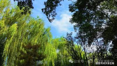 赴一场夏末初秋的商丘日月湖