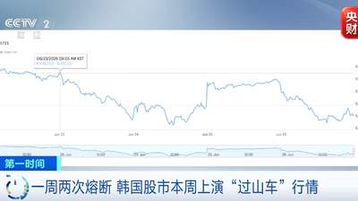 一周两次熔断！韩国股市：“外资卖、散户加杠杆接”