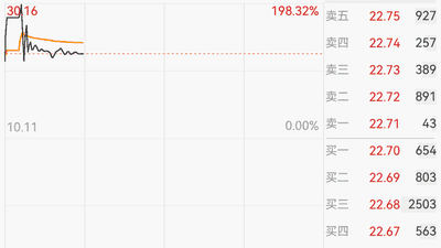 深市史上最大IPO，上市首日大涨，2分钟触发临停！