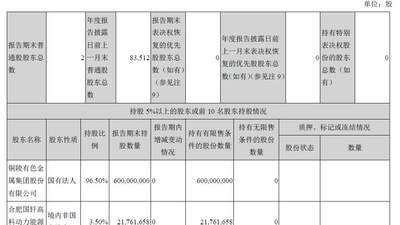 国轩高科出售铜冠铜箔800多万股，成交均价约99元/股，标的股价一度涨超200元