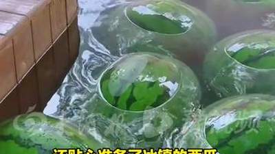 顶“瓜瓜”接力！河南的这个夏天有点甜