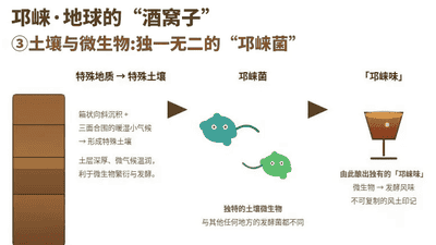 为什么说邛崃是世界白酒第一大原乡？
