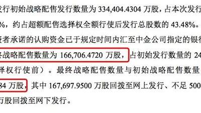 分掉16.67亿股，长鑫科技战配名单阵容豪华