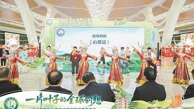粤黔协作抢抓微短剧风口 撬动县域内生动力