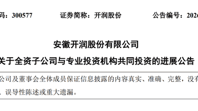 DeepSeek估值，被一家安徽箱包公司给全部暴露了