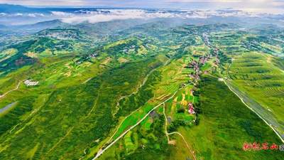 【文化旅游】积石山县：以金露梅为信 赴一场高原盛夏之约