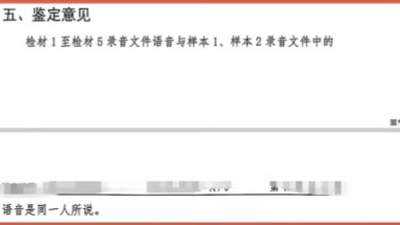 极目深度丨七旬老母一审被判替女还债百万，通话录音成为呈堂证供，当事人喊冤“那是女儿捏着嗓子冒充我”，二审未宣判