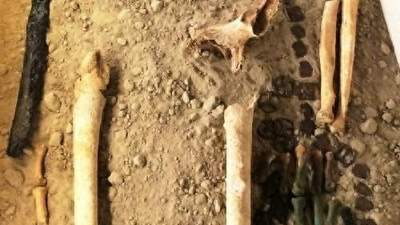 匈奴身世有新发现 多元基因线索揭两千年谜团
