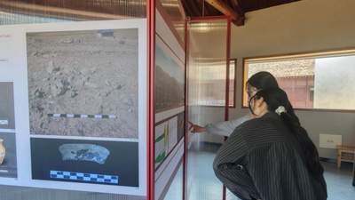 来汉景帝阳陵博物院 看中乌联合考古成果展里的多元文明互动图景