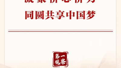 参与多元侨务活动 共筑中国梦凝聚侨心侨力同圆共享