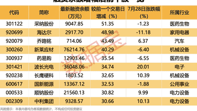 新股N千岸上市首日涨超311%引关注 中期分红与杠杆资金动向成市场焦点