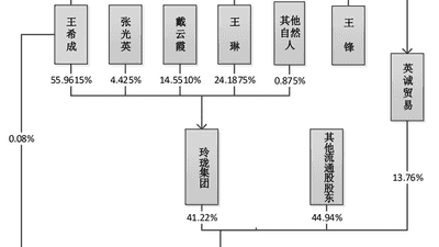 玲珑轮胎王锋转股引关注 家族股权决策机制再明晰