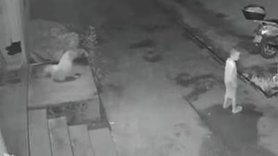 高州新垌镇4岁男童露宿街头引关注 志愿者探访解家庭困境助临时安置