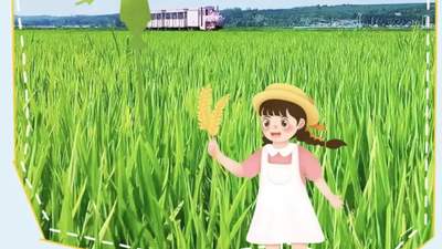 光东村邀你解锁多元体验！坐小火车逛稻海、做打糕腌辣白菜太治愈了