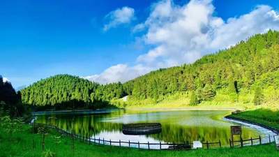 暑期要去重庆森林氧吧撒欢？高山草甸、云海花海等你赴清凉之约！周末就出发，还需牢记安全要点哦