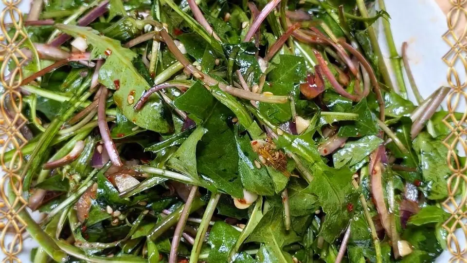 自带"青霉素"的菜，越吃眼睛越亮，夏天使劲吃，强身又健体！