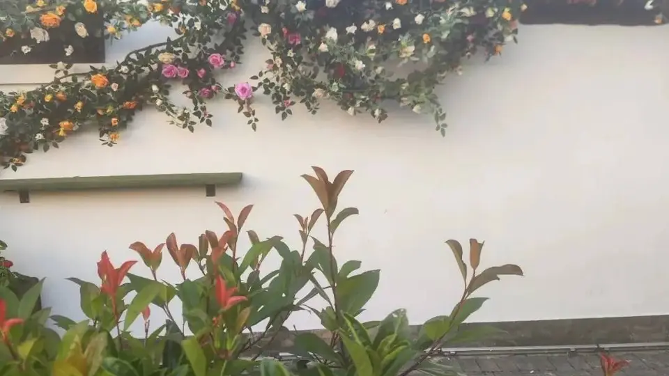上海人依旧还是会喝咖啡，不会因为你而改变分毫