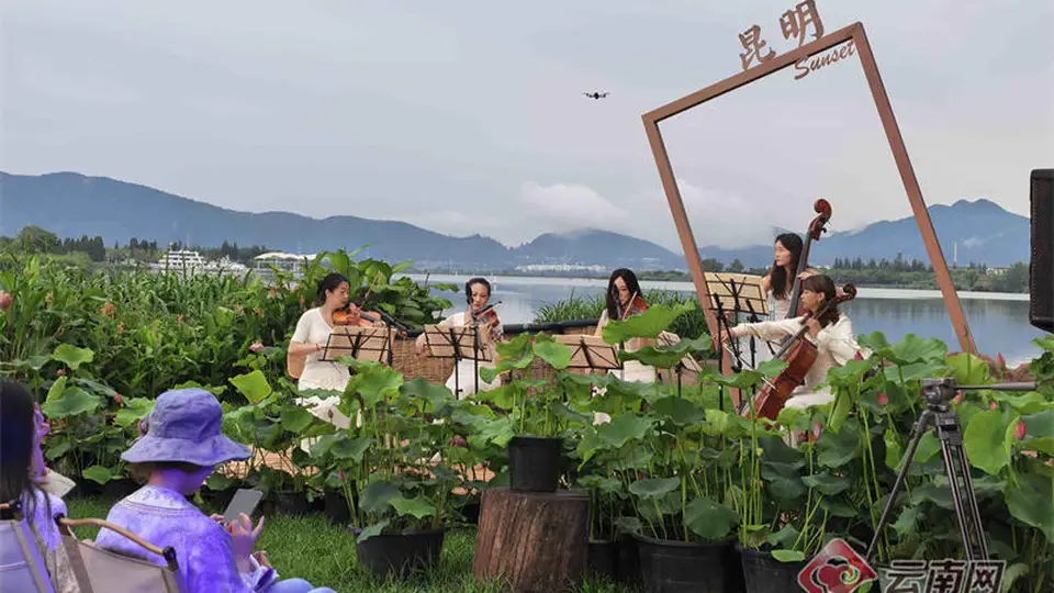 昆明大观公园第二十二届荷花文化节启幕
