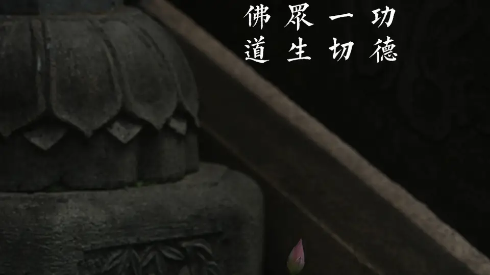 关于西湖景区佛教寺院恢复开放的通告