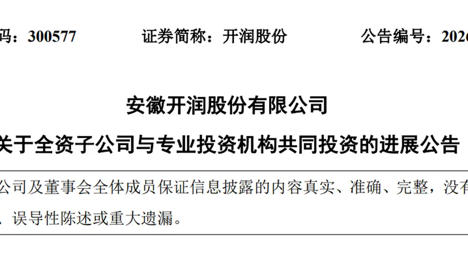 DeepSeek估值,被一家安徽箱包公司给全部暴露了