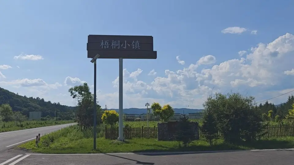 南岔县梧桐镇：打造生态康养旅游新名片