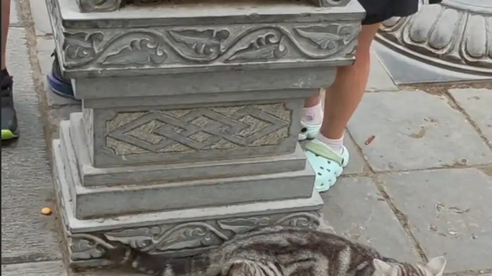 西安大兴善寺网红猫石像人气旺被游客摸亮 景区澄清无历史是后期修缮