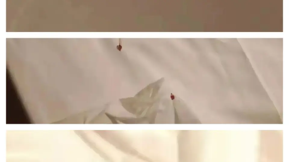 上海维也纳酒店出现床虱纠纷 酒店推脱责任还失联致商务行程受阻