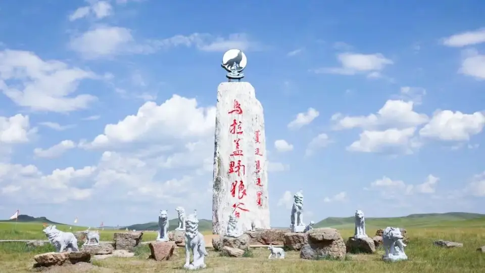 游客遇导游带往山寨野狼谷 现场体验直呼狼群狗里狗气 当地文旅证实两地同名景区并存需辨明