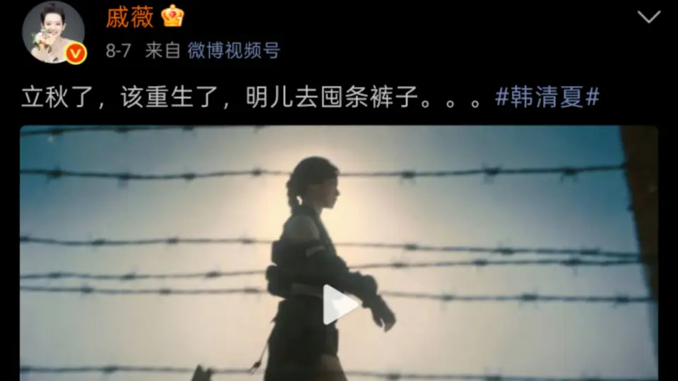 戚薇把脸交给AI，却撞上了审美、法律与伦理三道墙