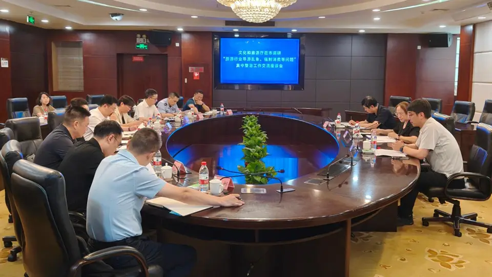 省文化和旅游厅一级巡视员杨红梅莅市调研旅游市场集中整治工作
