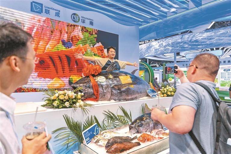 全球近20个国家和地区的优质渔产品在深圳集中展示 千斤蓝鳍金枪鱼游上市民餐桌
