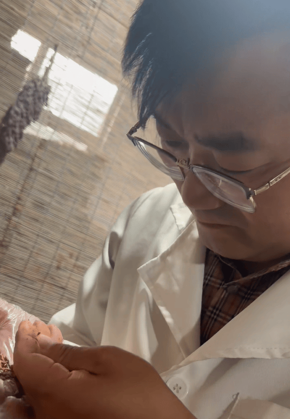 邯郸老味道新吃法！刘晓东守艺又创新，让全国吃上“邯郸味”！