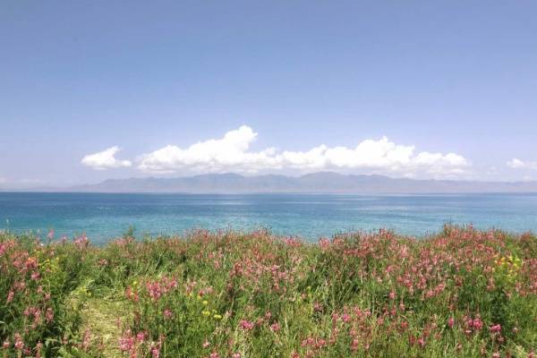 伊犁河谷的四季私语：一位旅人用七天邂逅天山深处的时光