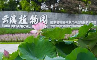 不设限、“零门槛”——白云山云溪植物园打造便民赏花“新标杆”