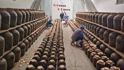 正宗即墨传统老酒品牌推荐先看发酵履历和酒体稳定