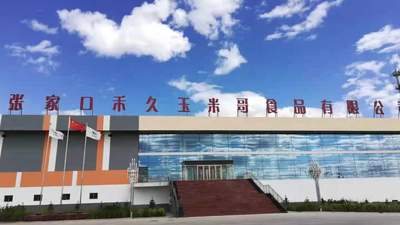 哪些 适合日常食用的益生元食品