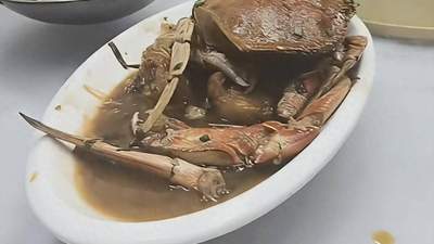 普陀山海鲜体验引关注：游客曝珍宝蟹三定价，监管回应鲜活海鲜自主定价 参与视角聚焦消费体验差异
