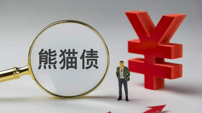 熊猫债发行规模屡创历史新高，境外机构踊跃参与打造人民币全球融资新动能