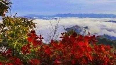 错峰出行!白河庙山寨景区日最大承载量公布!