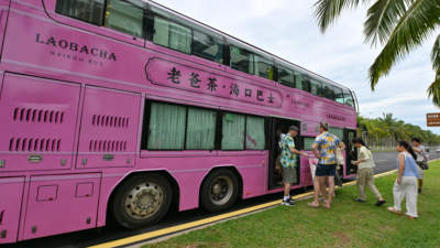 文化中国行丨海南老爸茶 文旅新名片