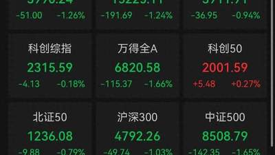 A股收评:近4800只个股飘绿,三大指数集体收跌,科创50收涨
