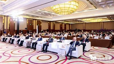 礼遇14国使节闪耀国家级外事舞台，八马上市彰显硬核品牌实力