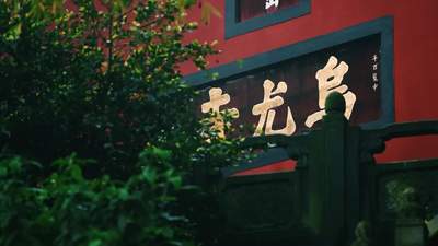 小众还免费！就在乐山城边上！快去森系徒步拍花海啦~