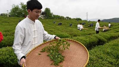 江西茶文化专题导游词