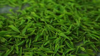 家中茶藏多年还能喝吗？红茶绿茶普洱的区别与判断